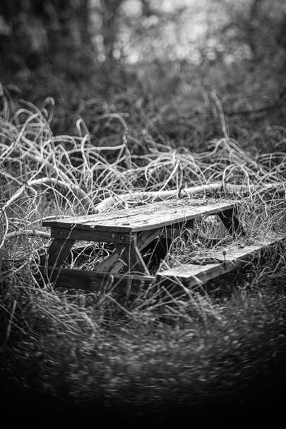 Lost Table