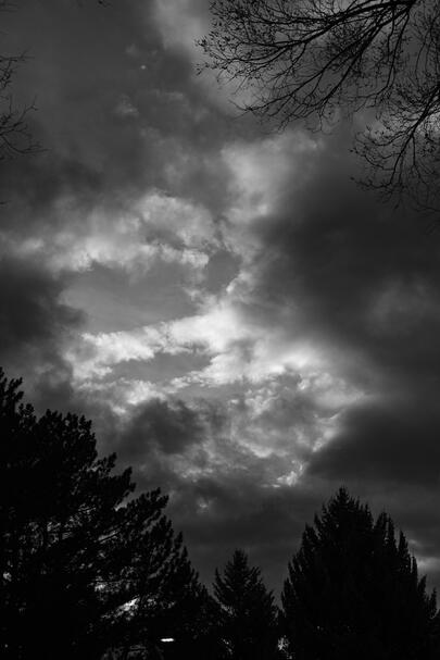 A Walk Home