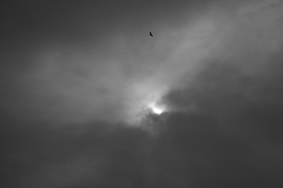 An Ominous Day